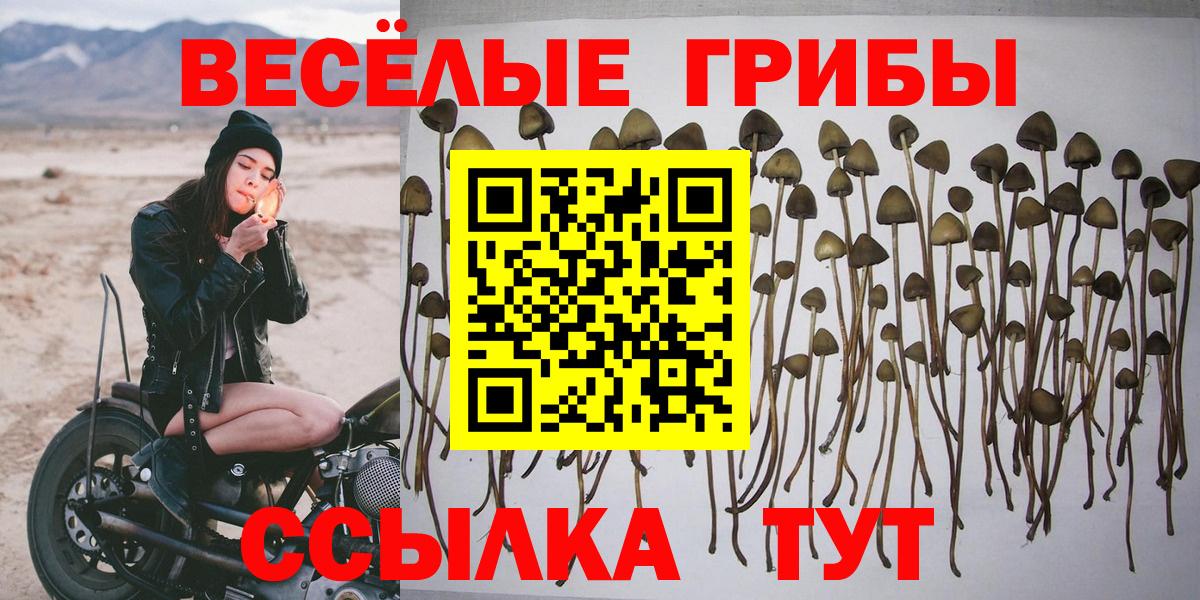 Галлюциногенные грибы Cubensis Баксан