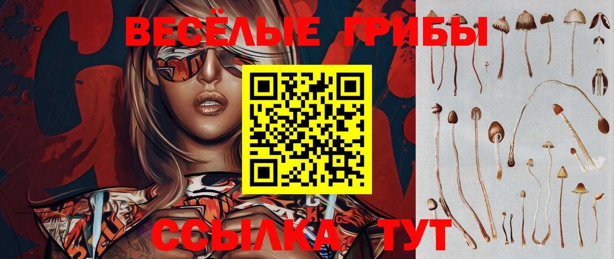 Баксан  Галлюциногенные грибы Psilocybine cubensis  сколько стоит  Вход с VPN 